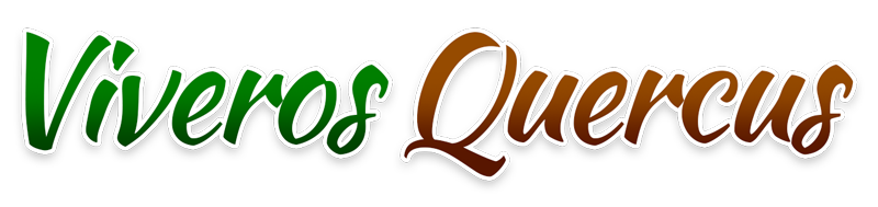 Viveros Quercus logo